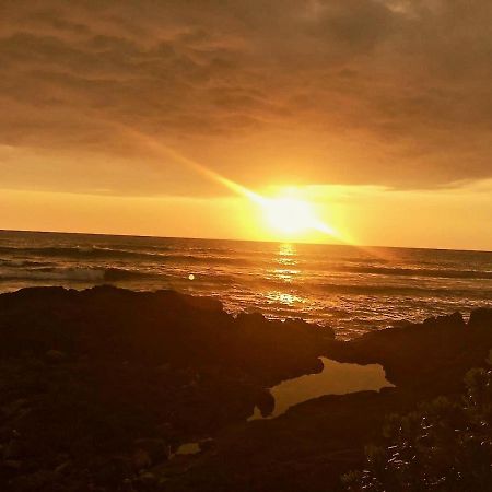 Unwind On Your Fantasy Hawaiian Vacation- 1Bd/1Ba Condo In Kailua-Kona, Hawaii Eksteriør bilde