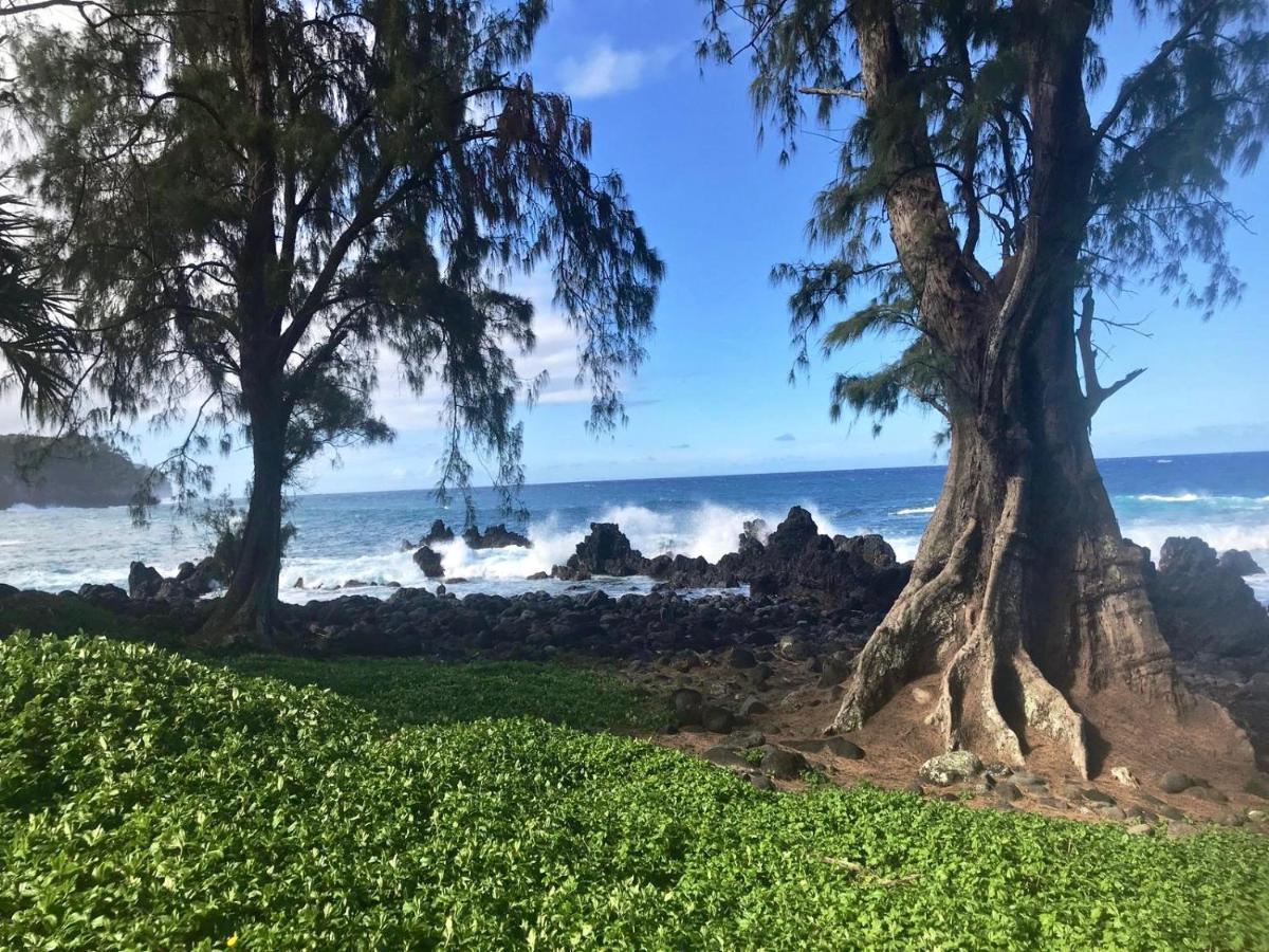 Unwind On Your Fantasy Hawaiian Vacation- 1Bd/1Ba Condo In Kailua-Kona, Hawaii Eksteriør bilde
