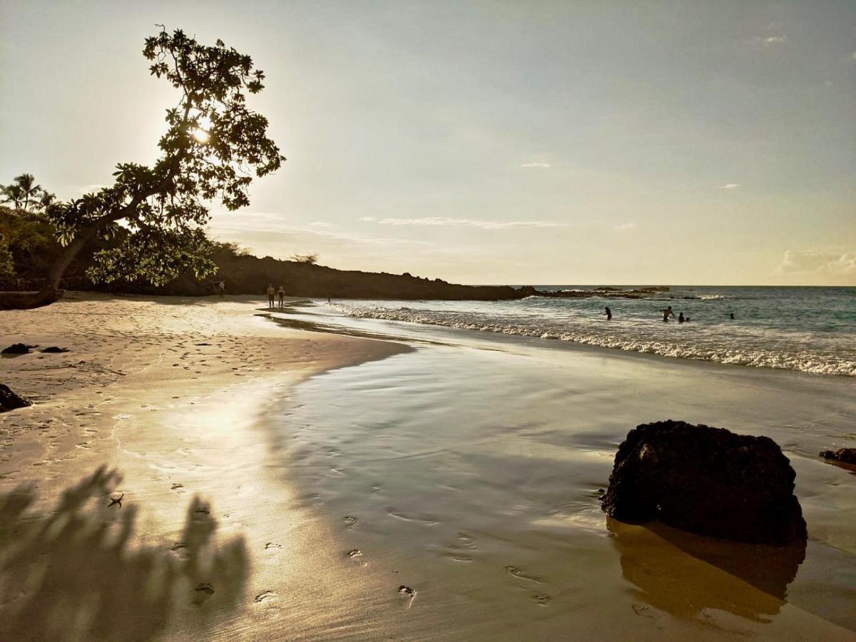 Unwind On Your Fantasy Hawaiian Vacation- 1Bd/1Ba Condo In Kailua-Kona, Hawaii Eksteriør bilde